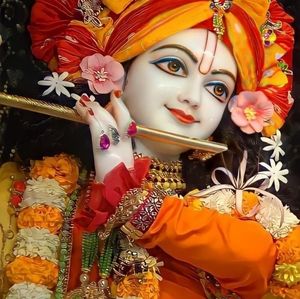 Meet your Posher, Komal